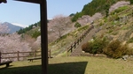 0DSC01176.jpg