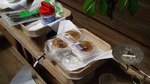 DSC03409.jpg